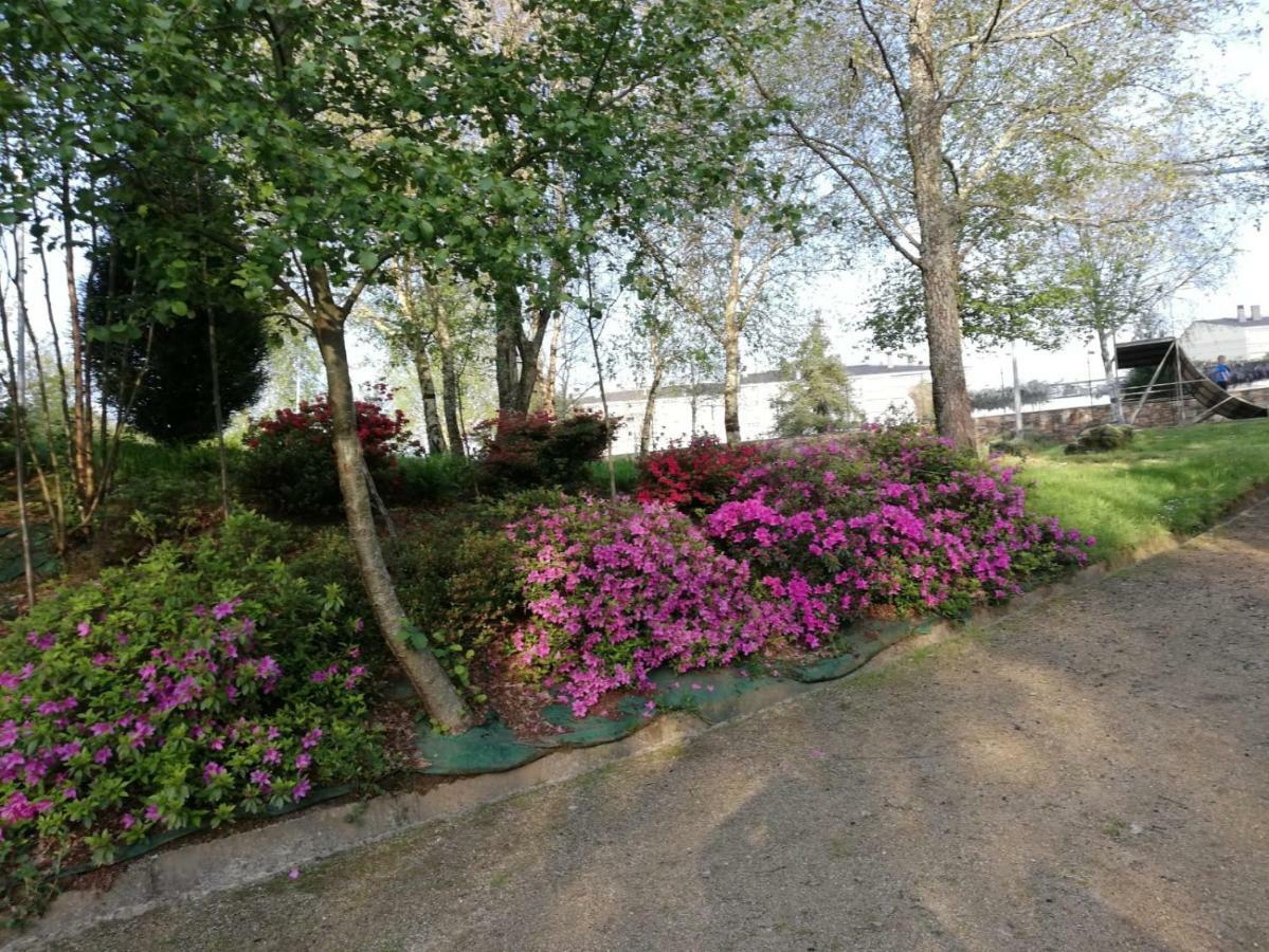 Apartamento Sigueeiro Camino Ingles ซิกวยโร ภายนอก รูปภาพ